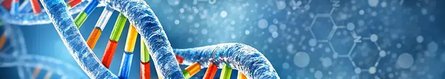 MCAT biochemistry — DNA, molecular biology, and enzyme kinetics